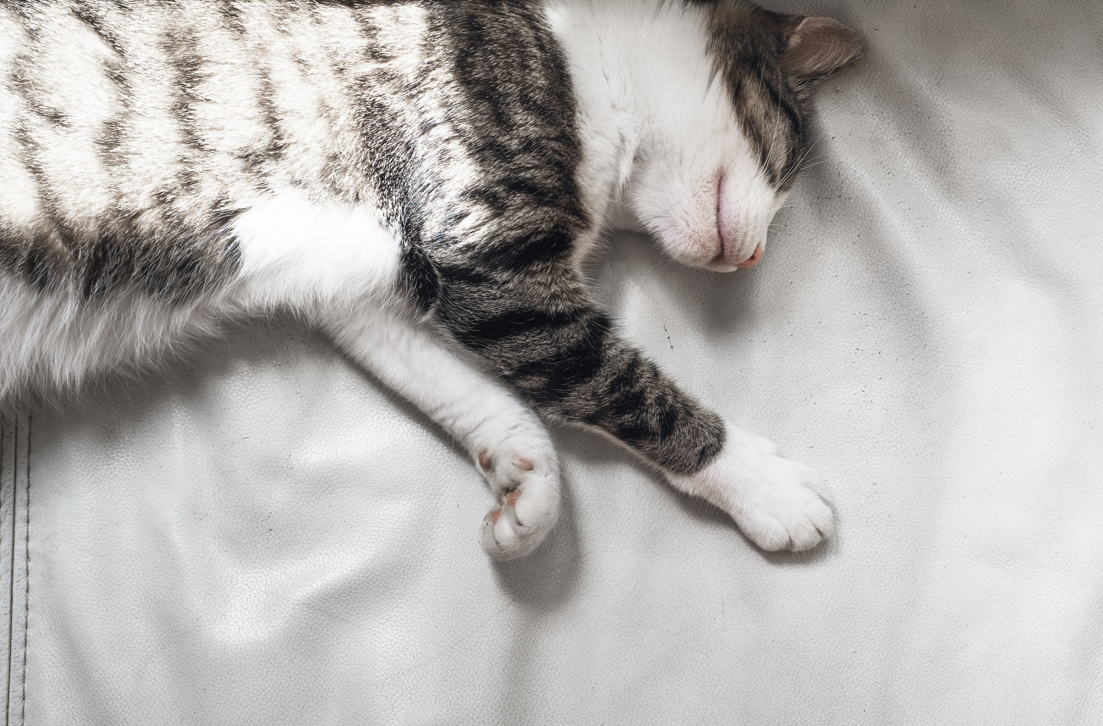 Sometimes, Your Body Knows How to Relax Better Than Your Brain Does