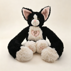 Devon the Devon Rex