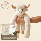 Hamish the Highland Cow